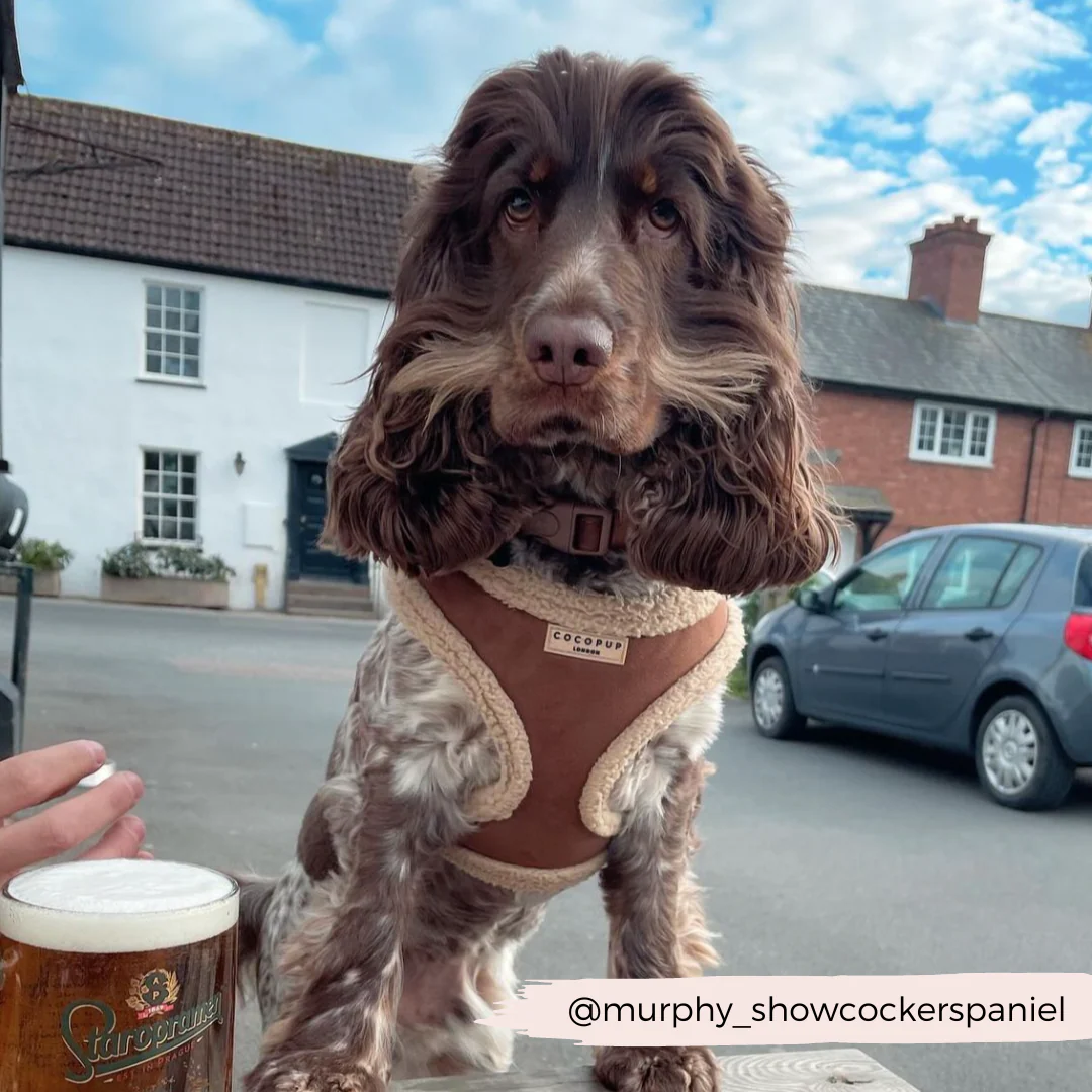 Thumbnail 32