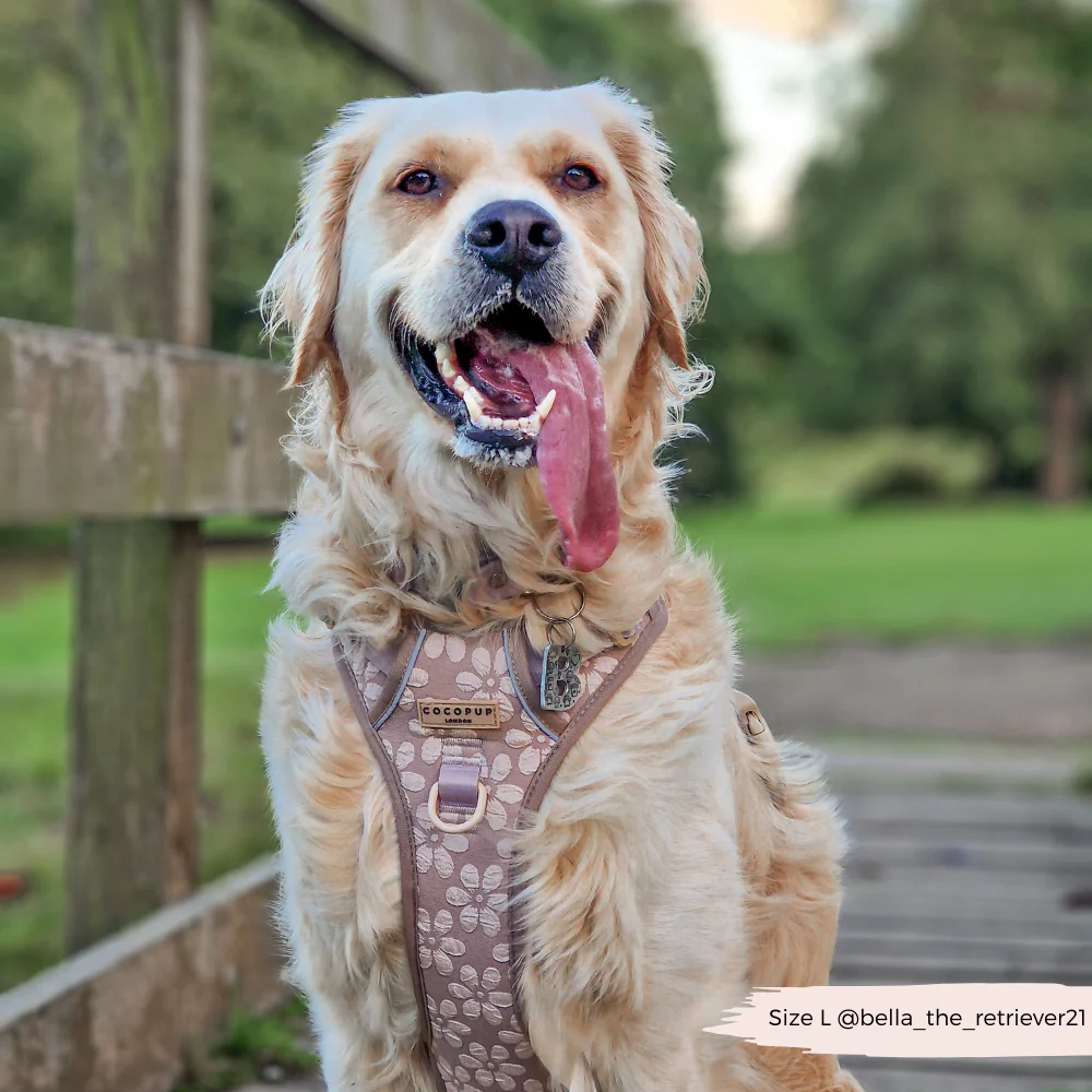 Thumbnail 24