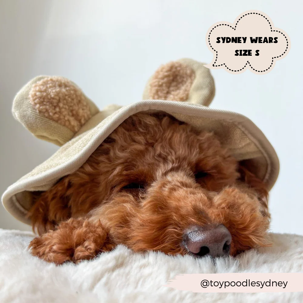 Thumbnail 16
