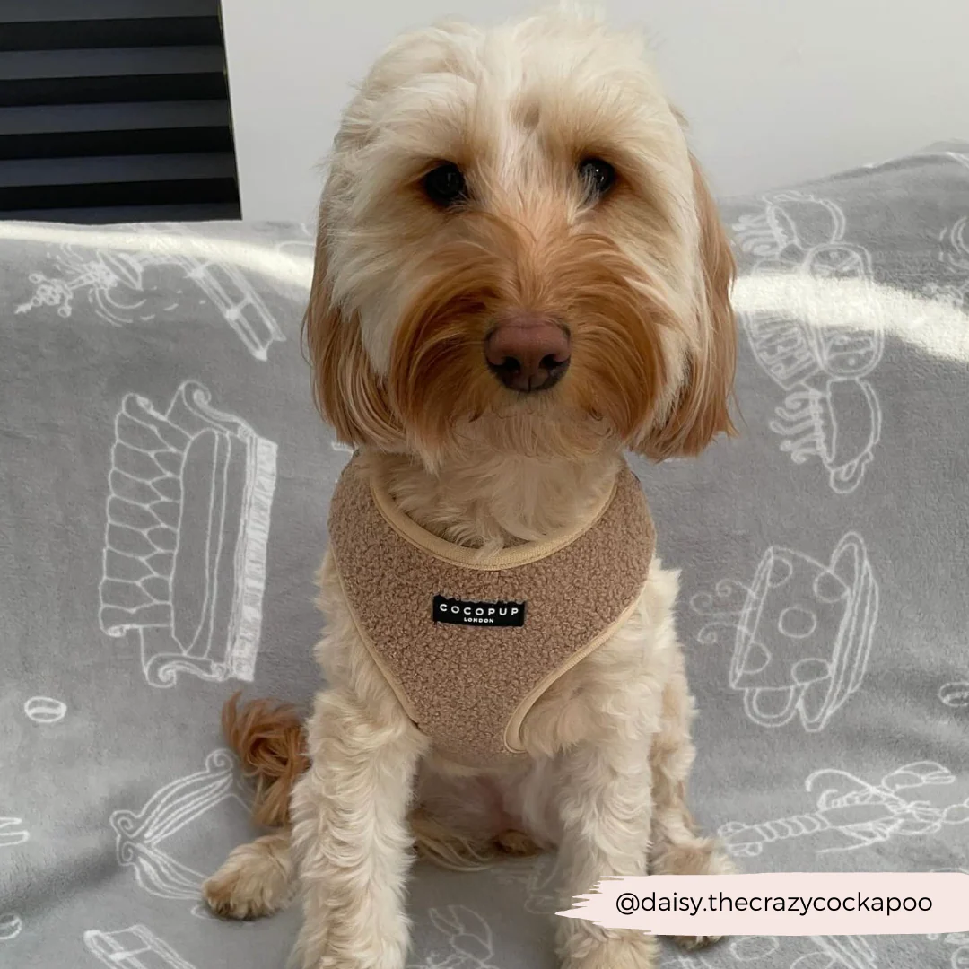 Thumbnail 16