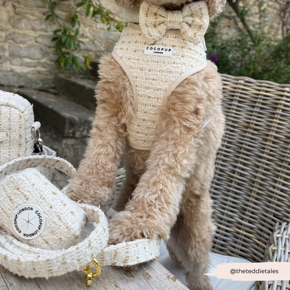 Thumbnail 14